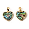 Brass & Paua Shell & Pink Cubic Zirconia Charms LS-KK-G538-05G-1