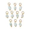 Brass Glass Charms PALLOY-JF05889-1