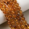 Natural Amber Beads Strands G-K376-H02-02-1