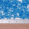 MIYUKI Delica Beads SEED-X0054-DB0787-4