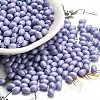 Baking Paint Glass Seed Beads SEED-C004-04I-1