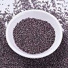 MIYUKI Delica Beads X-SEED-J020-DB0462-2