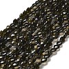 Natural Golden Sheen Obsidian Beads Strands G-P575-C04-6mm-2