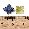 Baking Paint and Golden Metal Enlaced Glass Beads X-DGLA-T004-15M-3