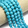 Natural Malaysia Jade Beads Strands G-L645-A01-10mm-24-4
