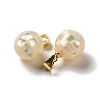 Natural White Shell Dyed Round Charms SSHEL-H071-01G-03-2
