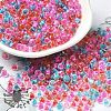 Transparent Glass Round Seed Beads SEED-B001-05A-14-1