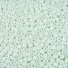 Opaque Baking Paint Glass Seed Beads SEED-T008-02M-3