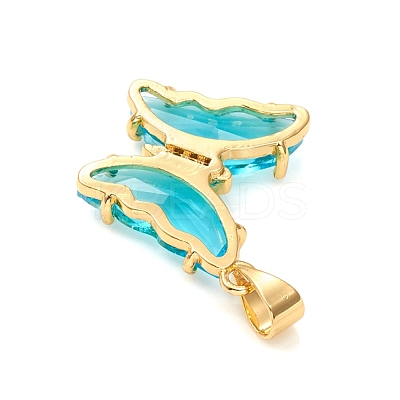 Glass Pendants GLAA-G075-01G-07-1