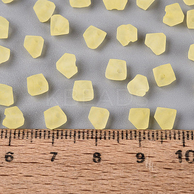 FGB Frosted Transparent Glass Seed Beads SEED-N013-03A-02-1