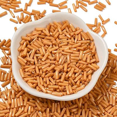 Baking Paint Glass Twist Bugle Beads SEED-C004-02F-1