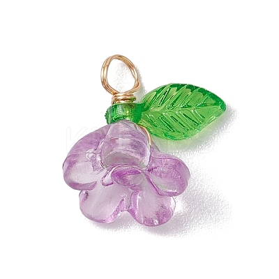 Acrylic Charms PALLOY-JF03079-1