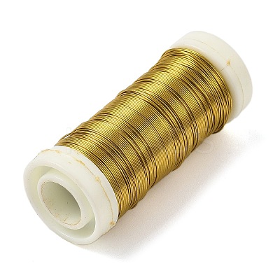 6 Rolls 6 Colors Baking Paint Iron Wire MW-K001-0.4mm-1