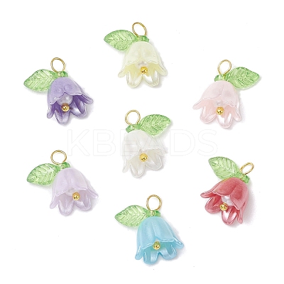 Transparent Acrylic Beads with Plastic Imitation Pearl Beads Pendants PALLOY-JF03825-02-S-1