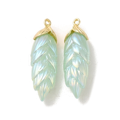 Rainbow Iridescent Plating Resin Pendants LS-RESI-C047-03D-G-1