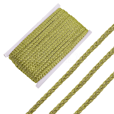 Metallic Polyester Braided Lace Trim OCOR-WH0108-20B-1
