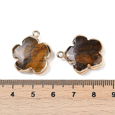 Natural Tiger Eye Pendants G-P566-01G-07-1