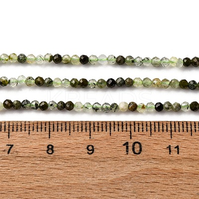 Natural Prehnite Beads Strands G-L629-B05-2mm-1