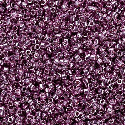 MIYUKI Delica Beads SEED-MY11-DB1848-1