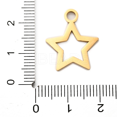 304 Stainless Steel Pendants STAS-M117-01C-G-1