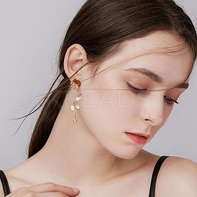 8 Pairs 8 Style Transparent Resin & Walnut Wood Stud Earring RESI-FH0001-43-1