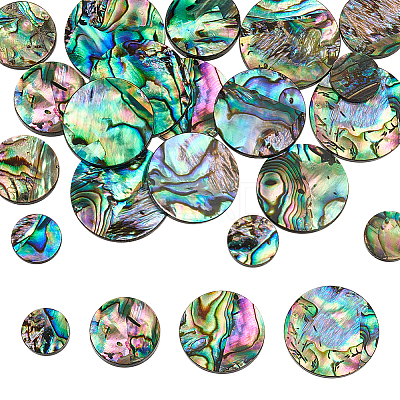20Pcs 4 Styles Natural Abalone Shell/Paua Shell Cabochons SHEL-WR0001-07-1