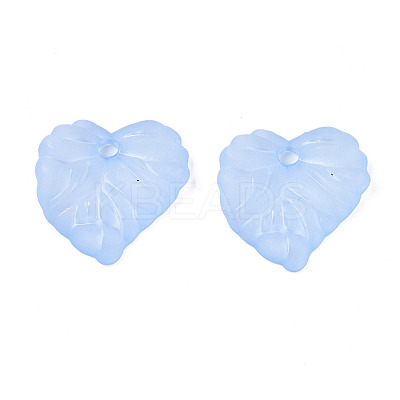 Transparent Acrylic Pendants TACR-S157-01D-1