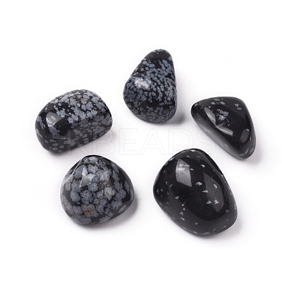 Natural Snowflake Obsidian Beads G-K302-A05-1