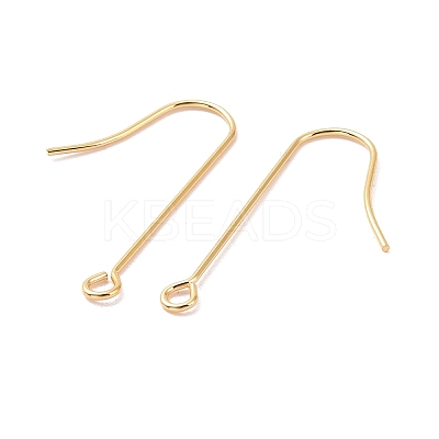 316 Surgical Stainless Steel Earring Hooks LS-X-STAS-E027-02B-G-1