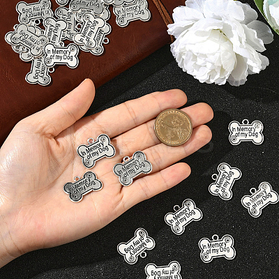 40Pcs Tibetan Style Alloy Pendants FIND-SC0020-53-1