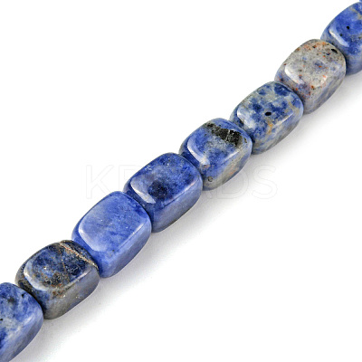 Natural Sodalite Beads Strands G-F743-02I-1