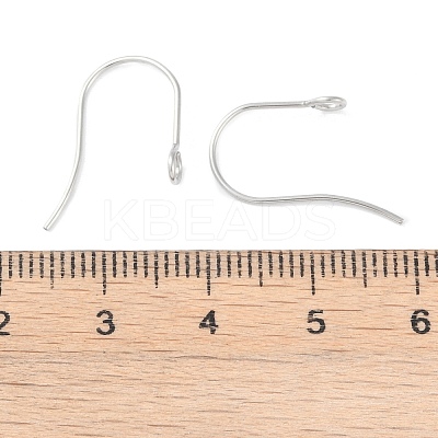 Tarnish Resistant 316 Surgical Stainless Steel Earring Hooks LS-X-STAS-P162-13P-B01-1