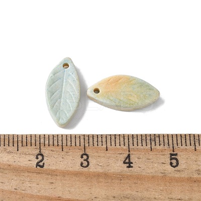 Natural Rainbow Alashan Agate Pendants G-G194-03C-1