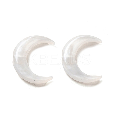 Acrylic Beads OACR-H042-06B-1
