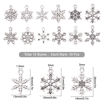 120Pcs 12 Style Tibetan Style Alloy Pendants TIBE-SC0001-63-1