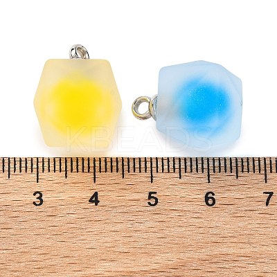 Frosted Resin Polygon Pendants RESI-U002-10-1