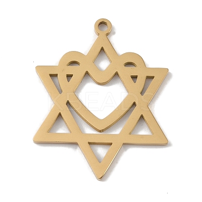 304 Stainless Steel Pendants LS-STAS-B062-19G-1