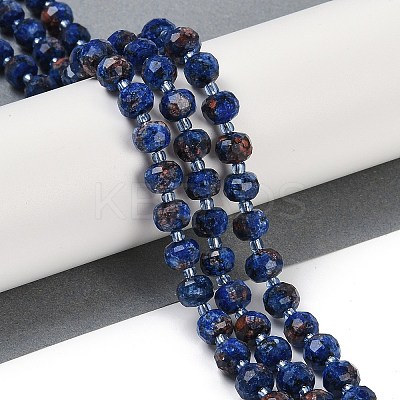 Natural Sesame Jasper Dyed Beads Strands G-H057-A21-04-1