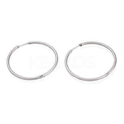 Non-Tarnish 304 Stainless Steel Huggie Hoop Earrings EJEW-L256-02H-P-1