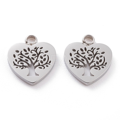 Non-Tarnish 304 Stainless Steel Charms STAS-Y002-05P-1