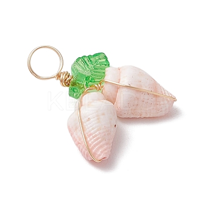 12Pcs 4 Styles Natural Sea Shell Copper Wire Wrapped Pendants PALLOY-JF03611-1