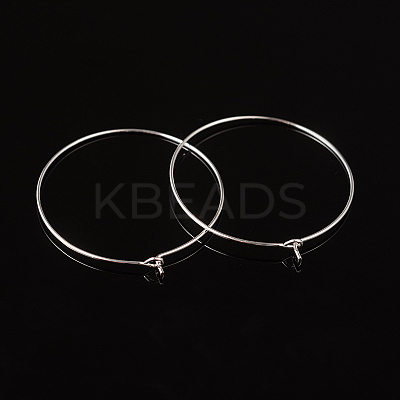 Silver Color Plated Brass Earring Hoops X-EC067-4S-1