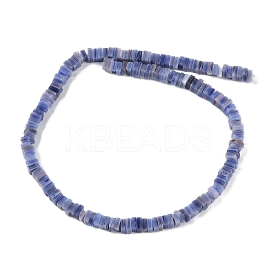 Handmade Lampwork Beads Strands LAMP-Q037-02B-12-1