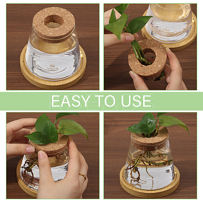 Glass Planter Vase with Wooden Lid and Bamboo Stand AJEW-WH0554-97-1