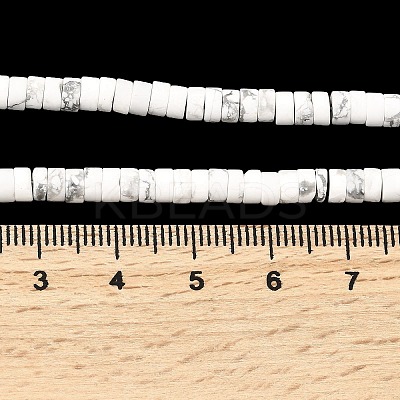 Natural Howlite Beads Strands X-G-Z089-A02-1