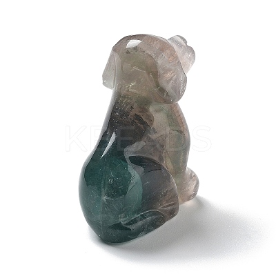 Natural Fluorite Carved Healing Dog Figurines DJEW-F025-01B-1