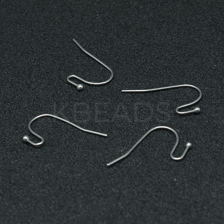 300Pcs 316 Surgical Stainless Steel Earring Hooks STAS-TAG0001-25-1