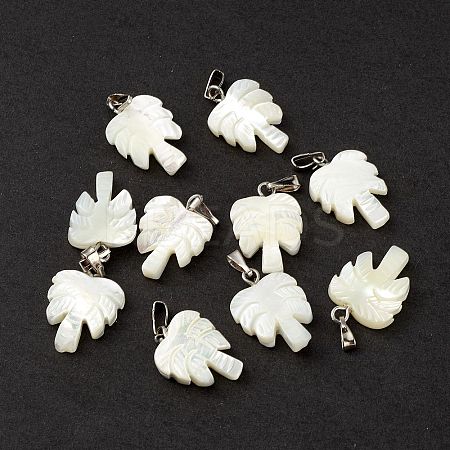 Natural Trochid Shell/Trochus Shell Pendants SSHEL-M021-10-1