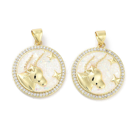 Brass Micro Pave Clear Cubic Zirconia Pendants KK-L213-010G-08-1