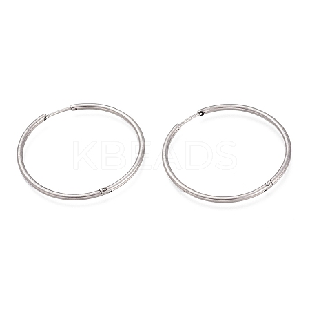 Non-Tarnish 304 Stainless Steel Huggie Hoop Earrings EJEW-L256-02H-P-1